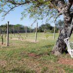 villa-rugiada-giardino-relax-salento